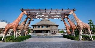 Morning Desert Safari Dubai